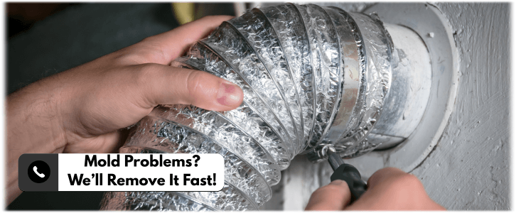 Air Duct Mold Removal in Conroe TX