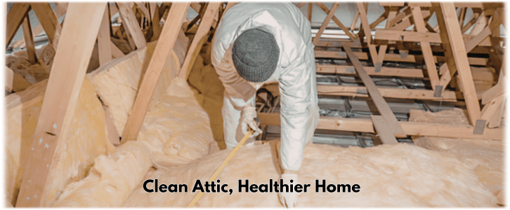 Attic Cleaning Conroe TX